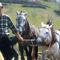 agricoltura