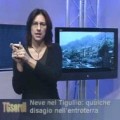 tg sordi