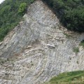img_3157