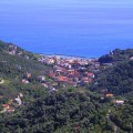 moneglia
