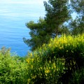 parco_portofino