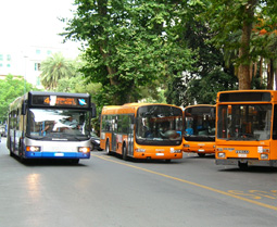 autobus-atp