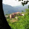 montemoggio