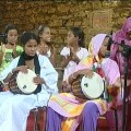 bimbi-sarahawi