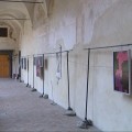 mostra-albizzati-moneglila