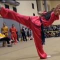 wushu