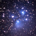 stelle