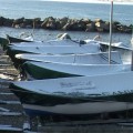 barche-neve