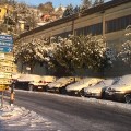 neve-leivi-1