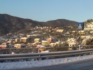 neve-leivi-3