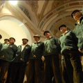 alpini
