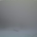 neve-alla-cipolla