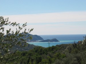 leivi_028