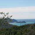 leivi_0281