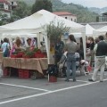 mercatino-collina-ulivi-leivi1