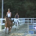 samuele-ranch-cavallo-1