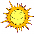 sole