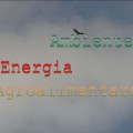 aea