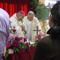 110511_vescovo-alla-lames_-2
