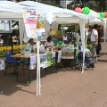 giornata-volontariato