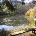 110606_riservadelleagoraie_piana_d0