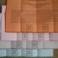 110611_referendum