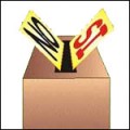 referendum-2