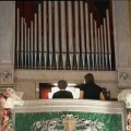 organo-nascio