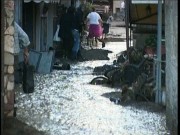 alluvione monterosso
