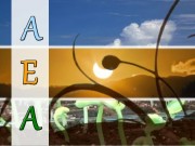 AEA