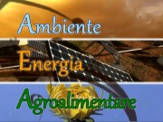 AEA 2
