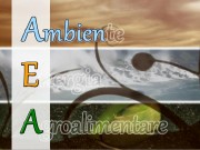 AEA 3