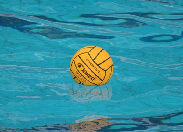 pallanuoto