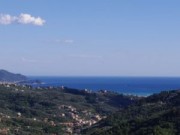 leivi