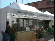 salone del legno
