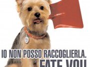 deiezioni_canine