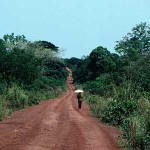 centrafrica