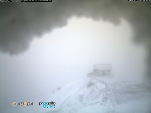 montebue