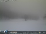 neve cipolla