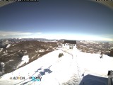 montebue