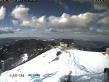 montebue