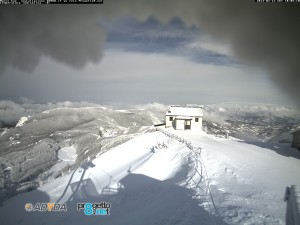 montebue