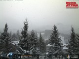 neve rocca