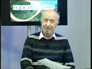 remo terranova