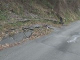 130305_frana moconesi