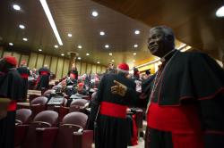 cardinali