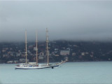 nebbia costa