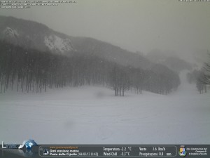 neve