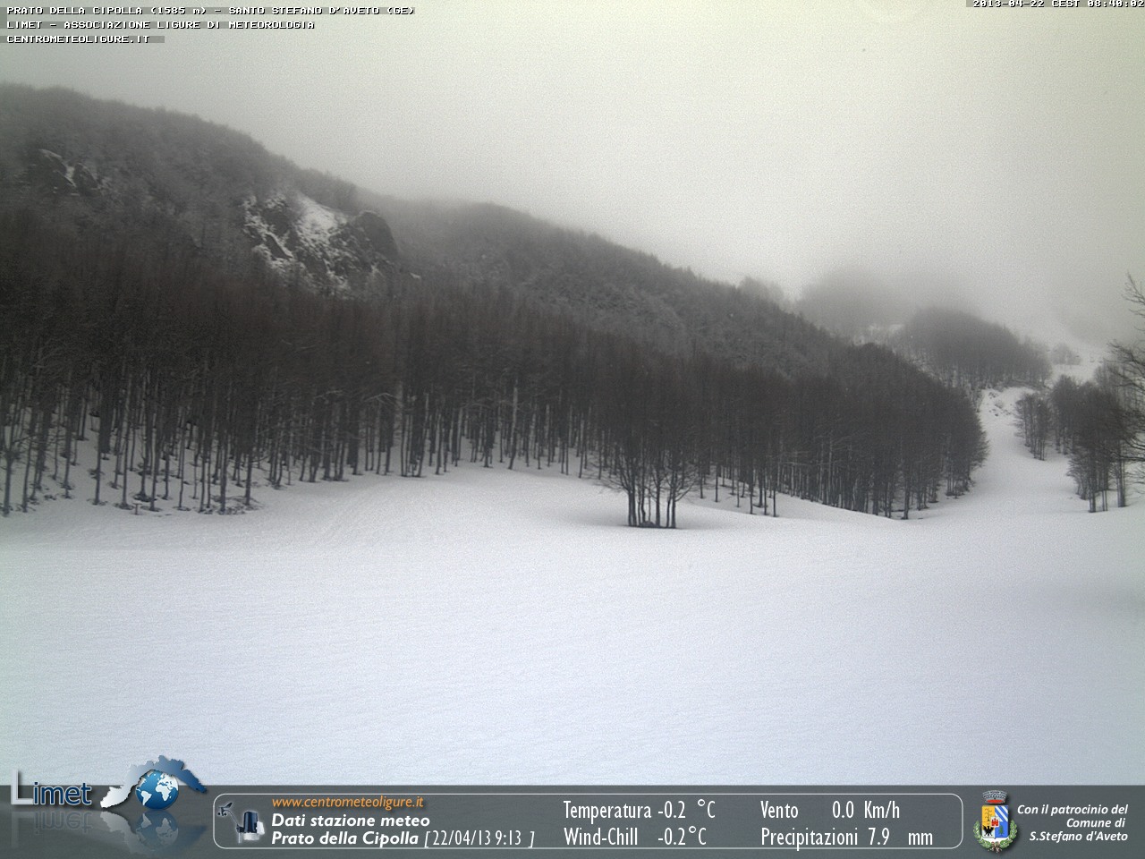 130422_webcam prato cipolla