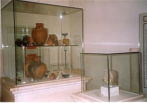 463877_museo archeologico frosinone